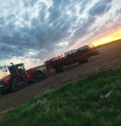 Enjoying the Harvest